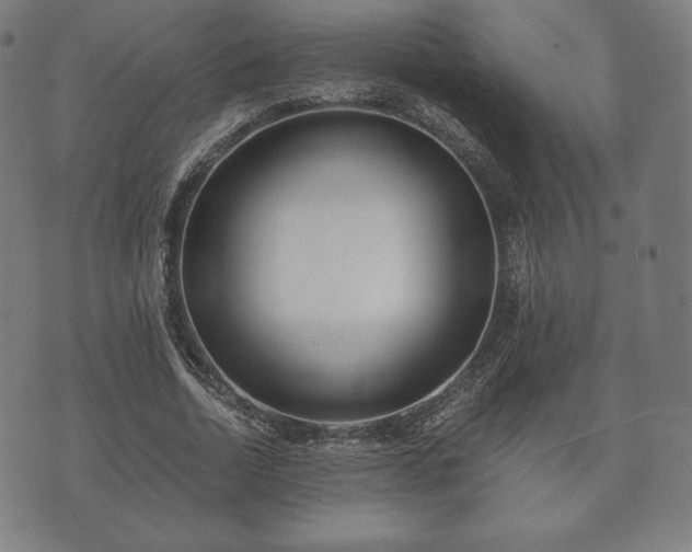 X0000073540730200608071055