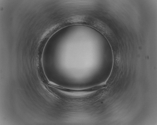X0000073540732200608071055