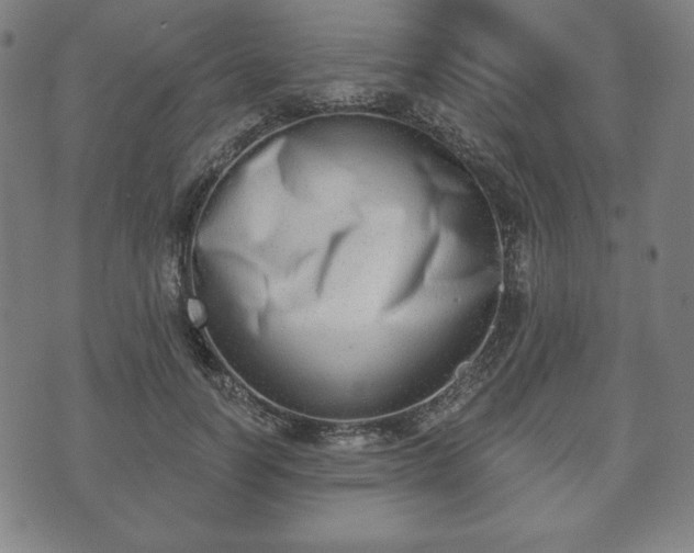 X0000073540746200608071055