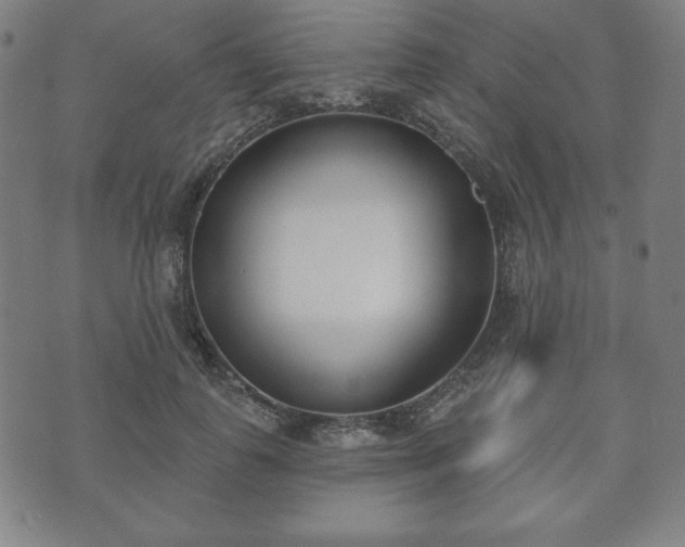 X0000073540747200608071055