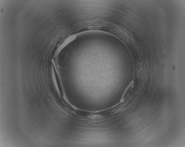 X0000073540748200608071055