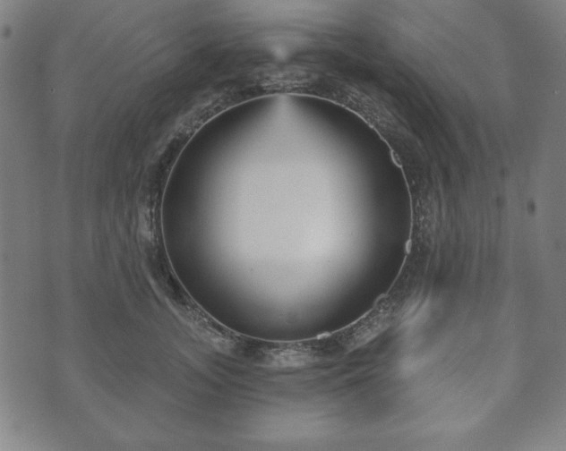 X0000073540755200608071055