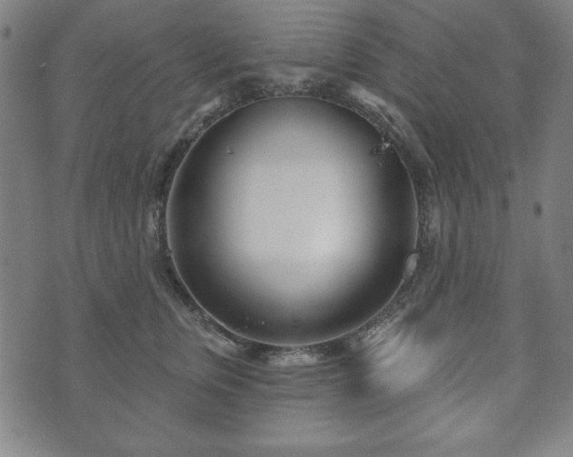 X0000073540759200608071055