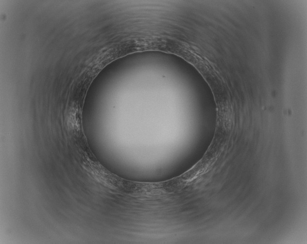 X0000073540770200608071054