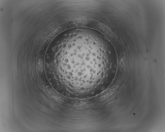 X0000073540772200608071054