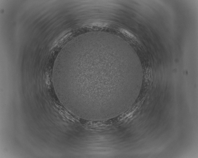 X0000073540774200608071054