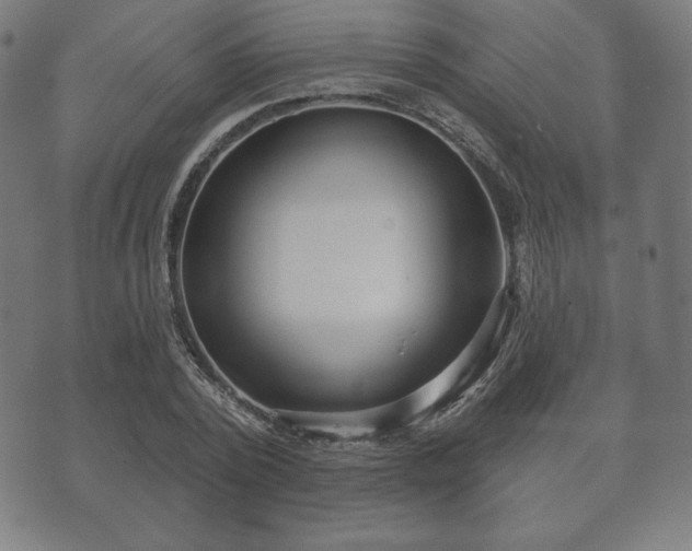 X0000073540784200608071054