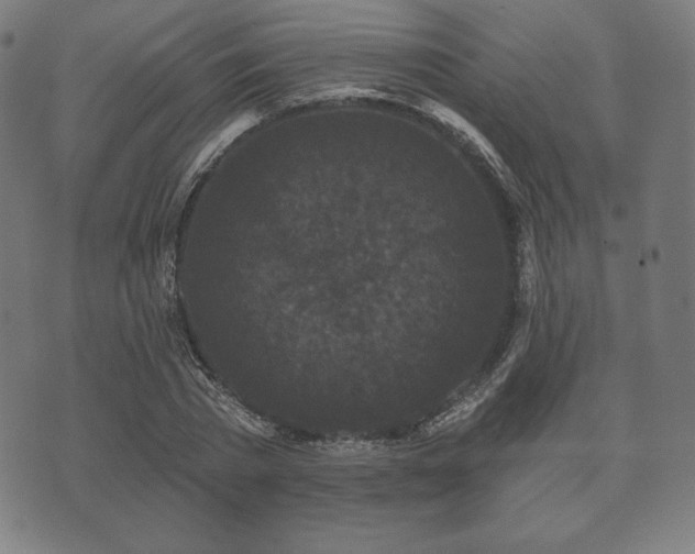X0000073540785200608071054