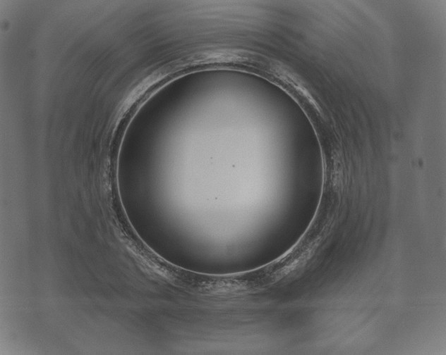 X0000073540786200608071054