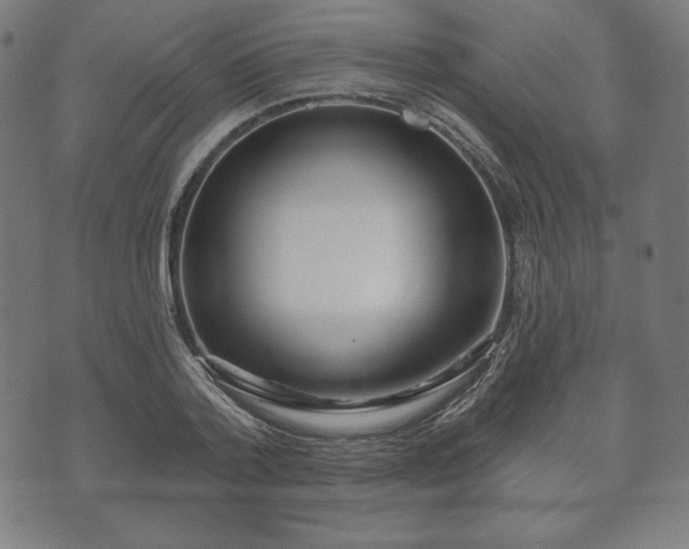 X0000073540788200608071054