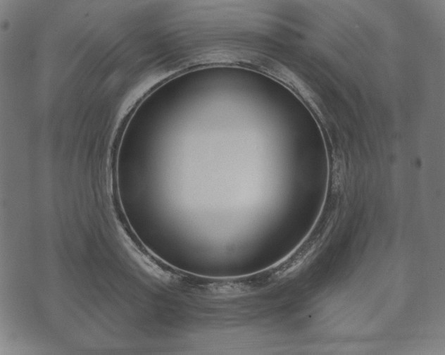 X0000073540795200608071054