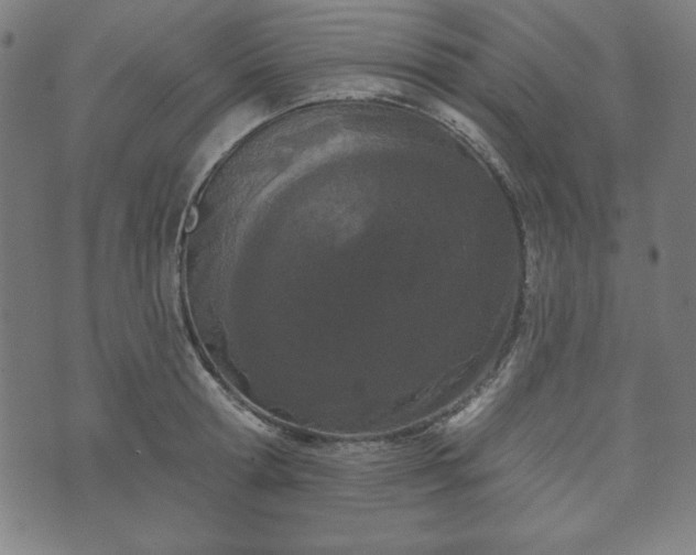 X0000073540802200608071054