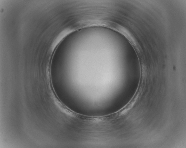 X0000073540814200608071054