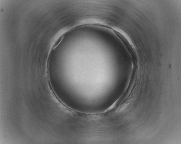 X0000073540815200608071054