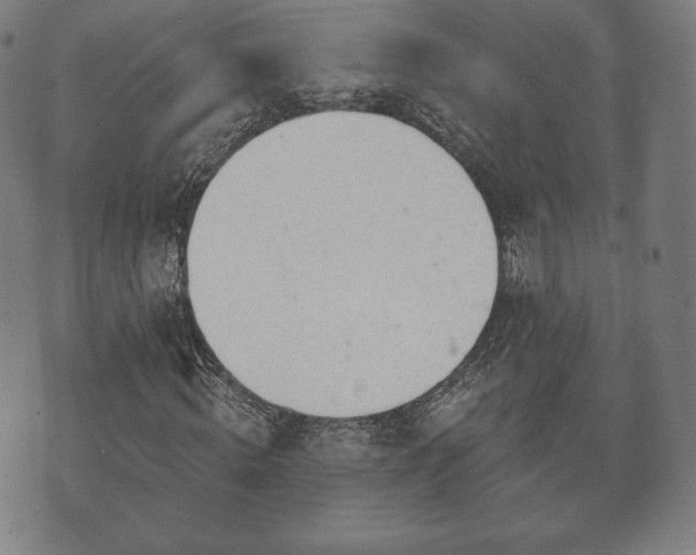 X0000073540820200608071053