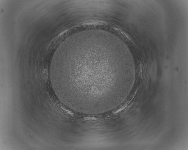 X0000073540821200608071053