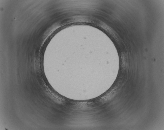 X0000073540828200608071053