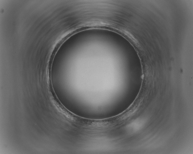 X0000073540840200608071053