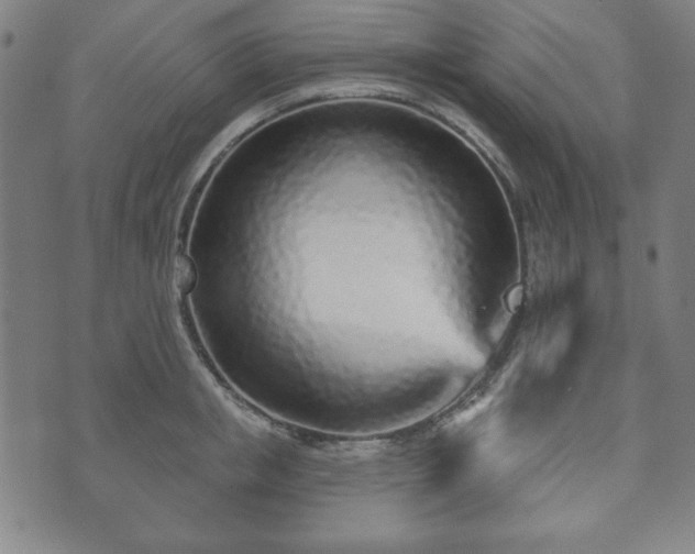 X0000073540853200608071054