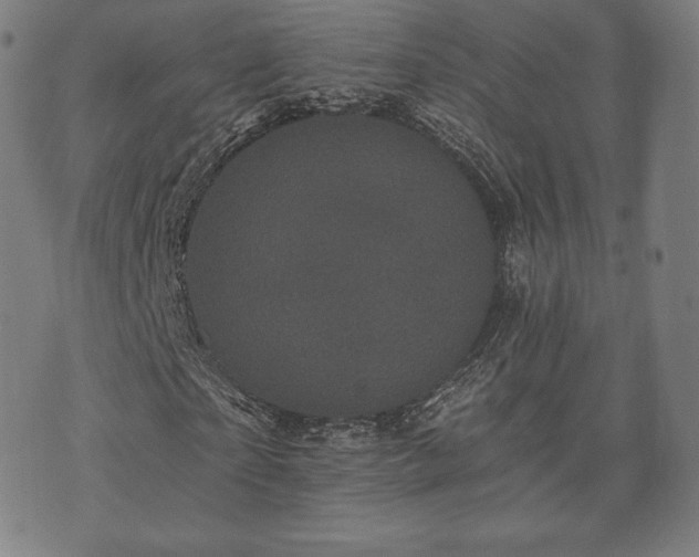 X0000073540865200608071053