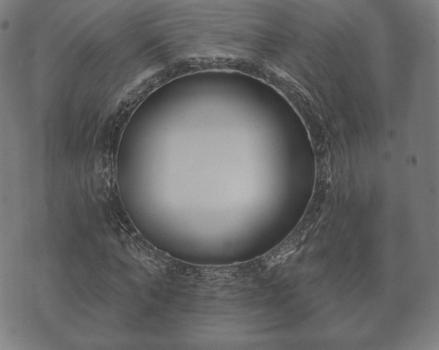 X0000073540870200608071053