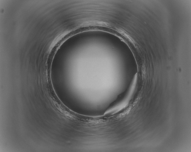 X0000073540877200608071053