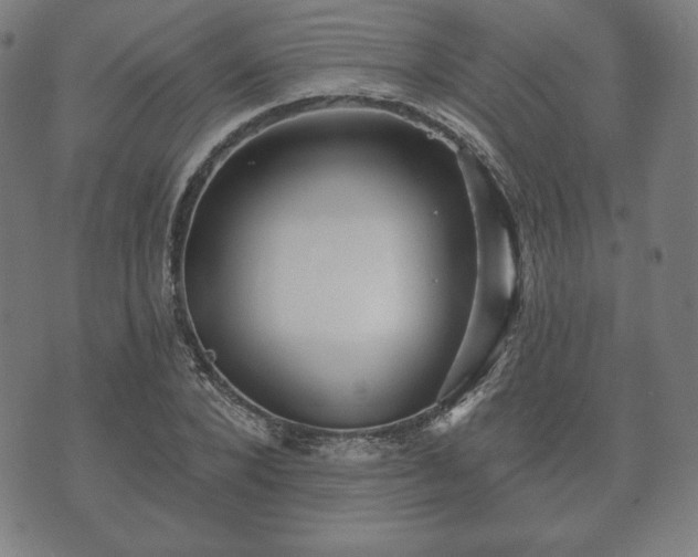 X0000073540880200608071053