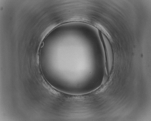 X0000073540900200608071052