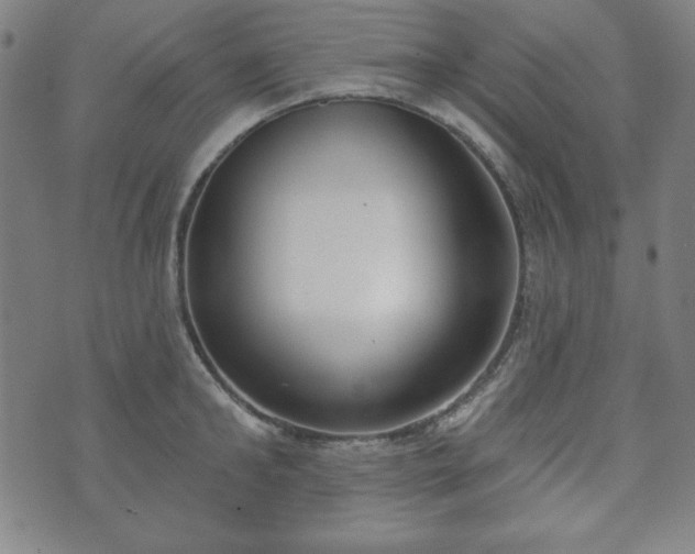 X0000073540902200608071052