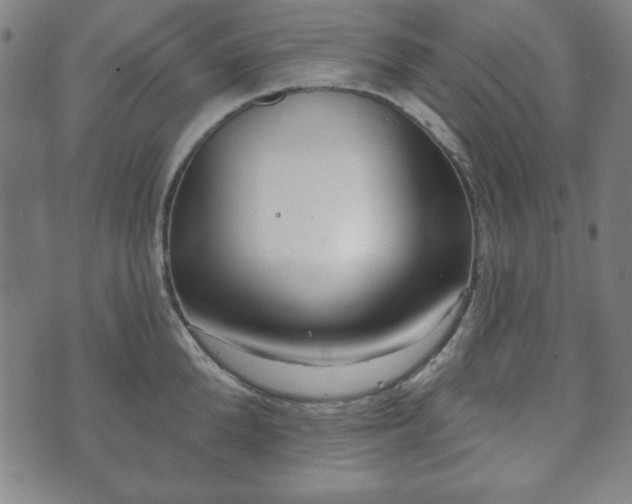 X0000073540904200608071052
