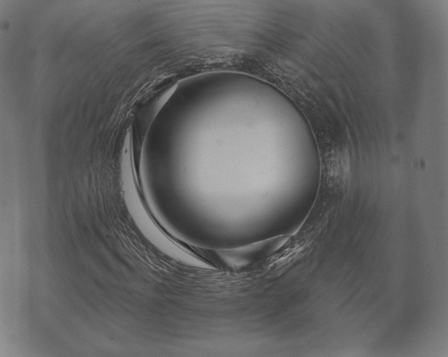 X0000073540916200608071051