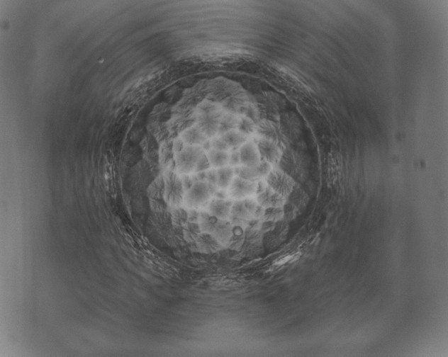 X0000073540917200608071051