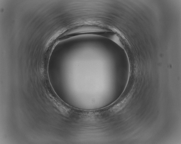 X0000073540922200608071052