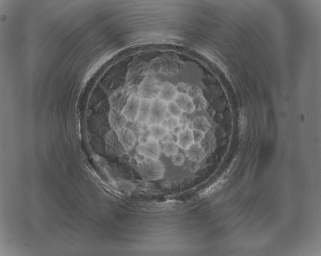 X0000073540925200608071052