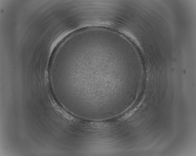 X0000073540928200608071052