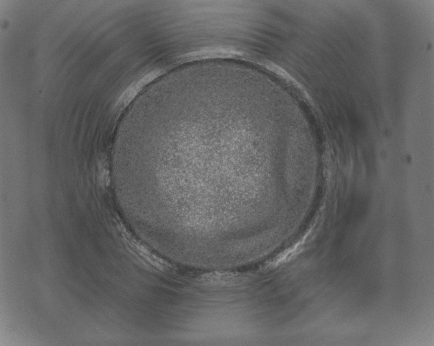 X0000073540929200608071052