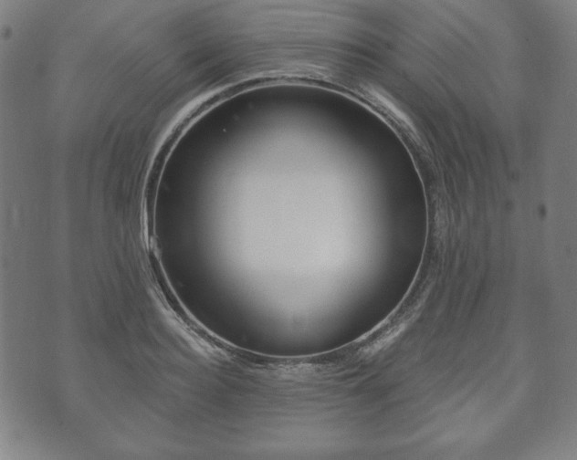 X0000073540940200608071052