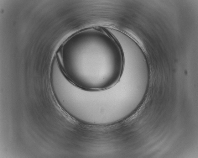 X0000073540948200608071052