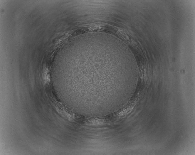 X0000073540962200608071051