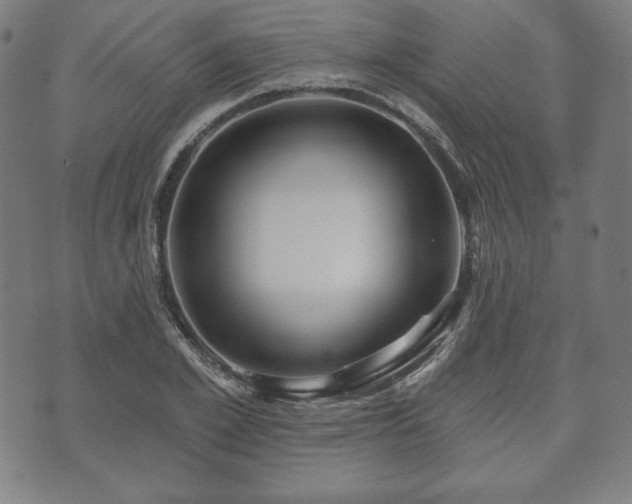X0000073540981200608071051