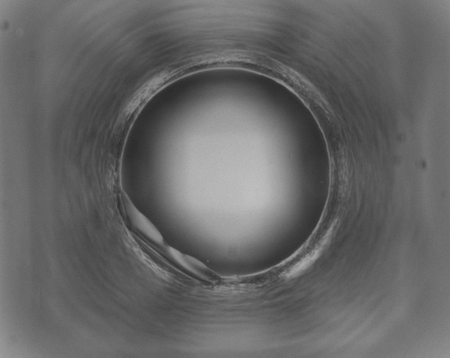 X0000073540985200608071051