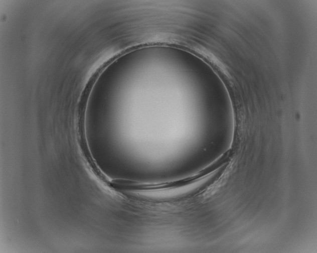 X0000073540991200608071051