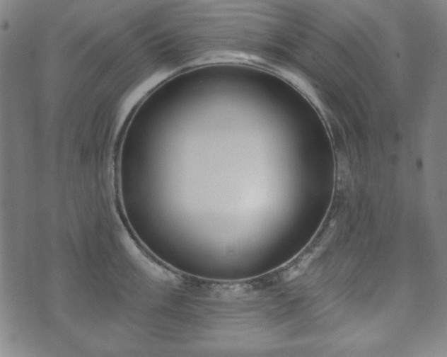 X0000073541003200608071051