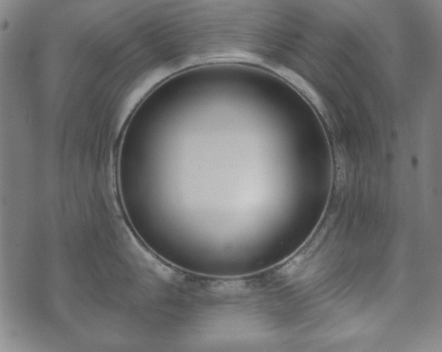 X0000073541006200608071051