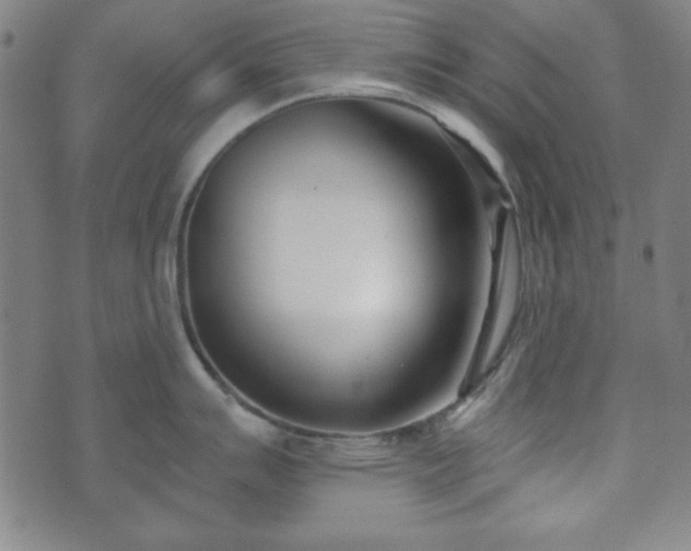 X0000073541007200608071051