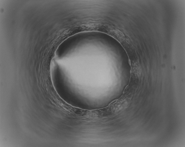 X0000073541009200608071050