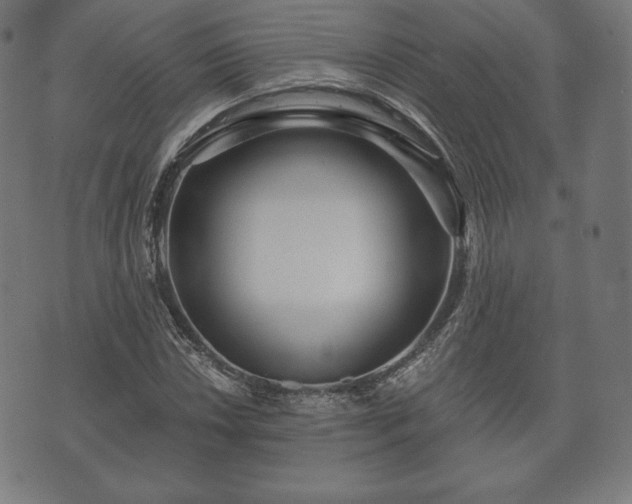 X0000073541018200608071050
