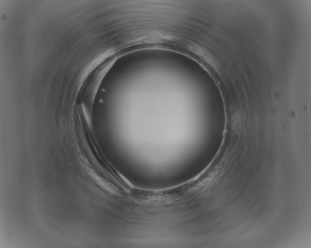 X0000073541026200608071050