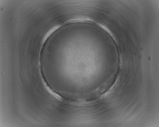 X0000073541042200608071050