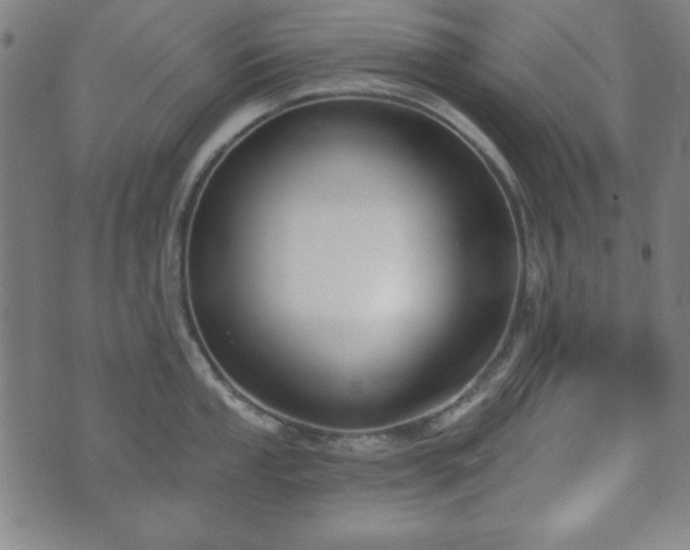 X0000073541053200608071051